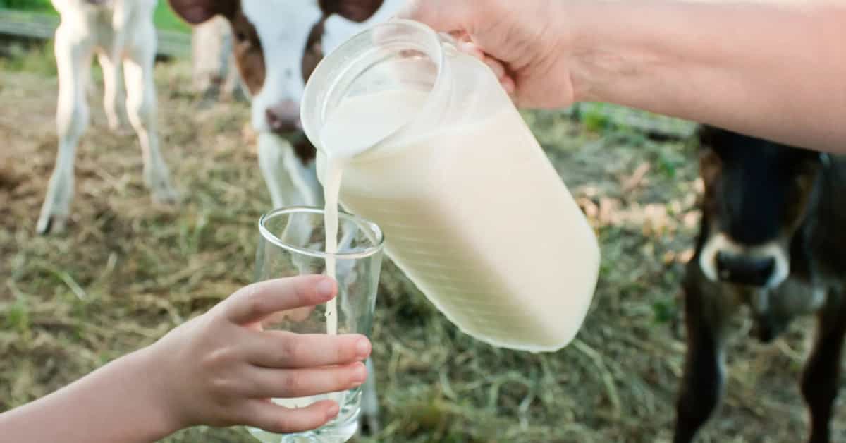 No clear evidence links organic milk to fewer allergies.